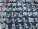 STIFF LITTLE FINGERS SUSPECT DEVICE WASTED LIFE ROUGH TRADE RT 006 PUNK SLF