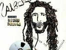 ALBOROSIE - Alborosie Meets Roots Radics: Dub For The Radicals - Vinyl (LP)