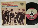 The Honeycombs 7