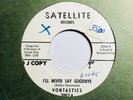 The Vontastics - I’ll Never Say Goodbye  - Promo #2002 - Funk/Soul - 1965