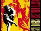 Use Your Illusion I [VINYL] Vinyl