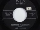 Doo Wop R&B Rocker 45 DEL-SATINS Counting Tear Drops WIN HEAR