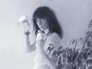 Patti Smith Group - Wave  - 2019 Reissue Vinyl LP New And Sealed