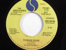 Punk 45 UNDERTONES Teenage Kicks SIRE VG+ promo HEAR