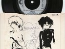 Siouxsie and the Banshees 