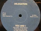 Delegation ?– You And I