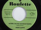 Rockabilly 45 JIMMY LLOYD Where The Rio De Rosa Flows ROULETTE HEAR