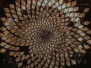 SCALE THE SUMMIT-COLLECTIVE (COLV) (LTD) (SLV) (UK IMPORT) VINYL LP NEW