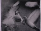 DONALD BYRD: Free Form LP Sealed (Euro, 180 gram reissue) Jazz