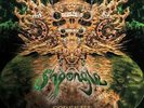 SHPONGLE: CODEX VI (LP vinyl *BRAND NEW*)