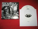 TOXIC HOLOCAUST Gravelord 7