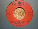 northern soul roy roberts i know what to do to satisfy you bo/ro reissue limited