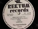 The Haemorrhoids - EP  Rektum Records How Can I Love You - Punk / Post Punk Rare
