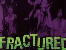 WOGGLES 'Fractured LP NEW estrus mummies gories A-Bones Impala mono men Gaolers