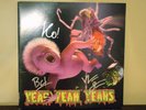 Signed Yeah Yeah Yeahs LP - Mosquito - 12