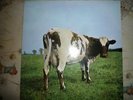 Original First 1st Pressing Pink Floyd Atom Heart Mother Vinyl LP SHVL 781 1970