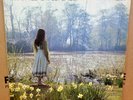 CATHERINE HOWE WHAT A BEAUTIFUL PLACE OG UK STEREO REFLECTION LP REF L11 CLIP