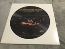 Rammstein Liebe ist für alle da Picture Vinyl toller Zustand