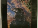 THE STRANGLERS The Raven 3D cover UA UAG 301262 +inner sleeve free uk POST