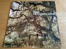 Travis - The Invisible Band - 2001 Independiente LP
