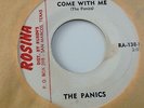 PANICS - COME BACK TO ME / COME WITH ME -ROSINA RA-138. VG++