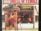The Cramps Smell Of Female LP Vinyl Records Big Beat Ned6 7 04061 Rock Import