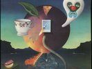 Nick Drake - Pink Moon UK 1st pressing A1/B1-U Pink Rim labels Listen