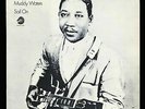 VINYL LP Muddy Waters - Sail On 1st pressing (1969) w/ this title Chess VG+/VG++
