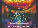 DREAM MACHINE 'Temple Of Dreams' NEW Limited Edition Vinyl. 180g Transparent.