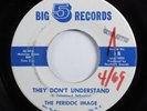 Northern Soul 45 PERIDOC IMAGE They Don't Understand BIG 5 VG+ promo HEAR