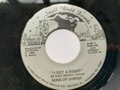 Sons of Christ 45 