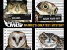 Four Owls Nature's Greatest Mystery Limited Edition Orange Vinyl Pressing of 500