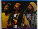 Israel Vibration 