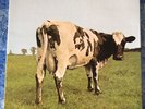 LP The Pink Floyd - Atom Heart Mother DC108 (Blue Vinyl)