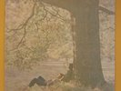 John Lennon US LP Apple SW-3372 PLASTIC ONO BAND
