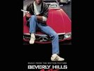 HAROLD FALTERMEYER: BEVERLY HILLS COP: OST (Ltd RANDOM COLOURED ) {LP vinyl}