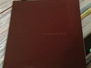 THE BROWN ALBUM [LP] by THE CHILD MOLESTERS (S.F.T.R.I., UNPLAYED, PUNK, 1994)