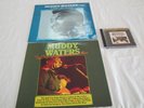 Muddy Waters; 