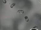 Peter Gabriel, Up Promo 200g (New Profile) 2LP from the Michael Hobson Archives