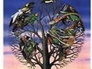 Talk Talk - Laughing Stock 600753655191 (Vinyl Used Very Good)