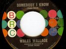 somebody i know..sir wales wallace BRC orig mega req ..  BARGIN low start ..8