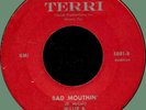 WILLIE B. Bad Mouthin' / This I Gotta See 45rpm Terri '61 killer harmonica blues