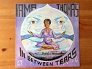 Irma Thomas “In Between Tears” original Fungus LP Swamp Dogg