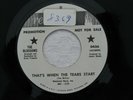 Northern Soul 45 The Blossoms Thats When The Tears Start/Good lovin Promo (NM)