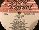 AFTER HOURS - WATER FALLS / FEEL IT - RARE  1991 STRICTLY RHYTHM  SR1234 MINT