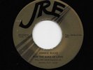 Jimmie Raye - For The Sake Of Love / You Must Be Losing Your Mind (Soul 45) 422