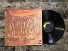 SAVOY BROWN BLUE MATTER BLUES ROCK VINYL LP