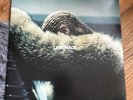 Lemonade (2x Yellow Colored Vinyl LP) - Beyonce