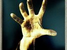 System Of A Down ?– System Of A Down (Vinyl LP) PLAYED ONCE/NEAR-MINT