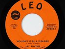 Northern Soul 45 - Jay Rhythm - Wouldn't It Be A Pleasure - Leo - VG+ mp3
